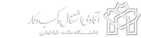 آکادمی کسب و کار